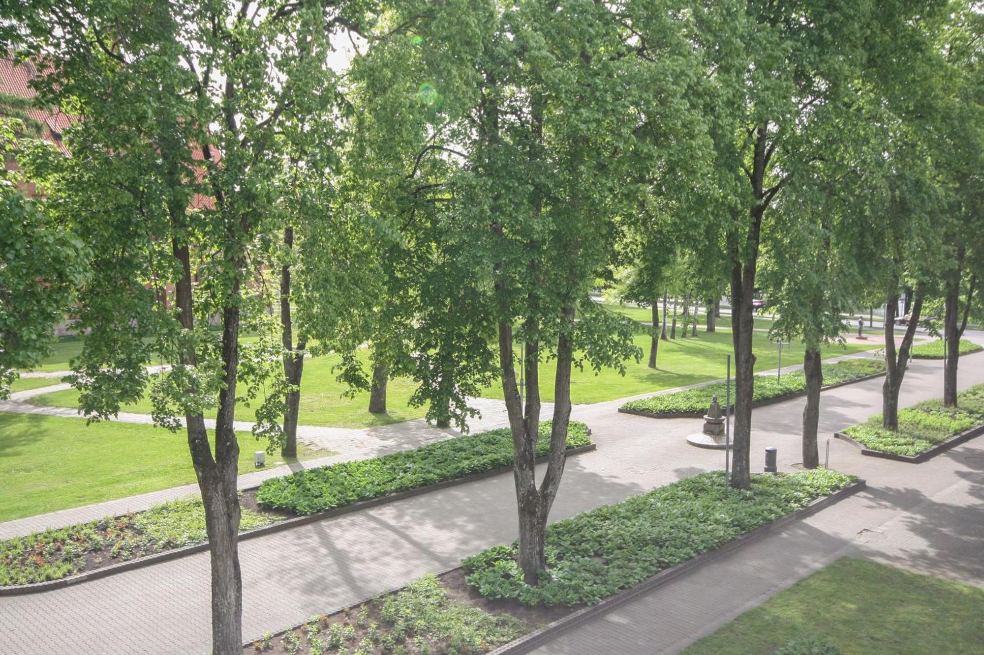 Apartamentai Vilniaus Alejoje Druskininkai Ngoại thất bức ảnh